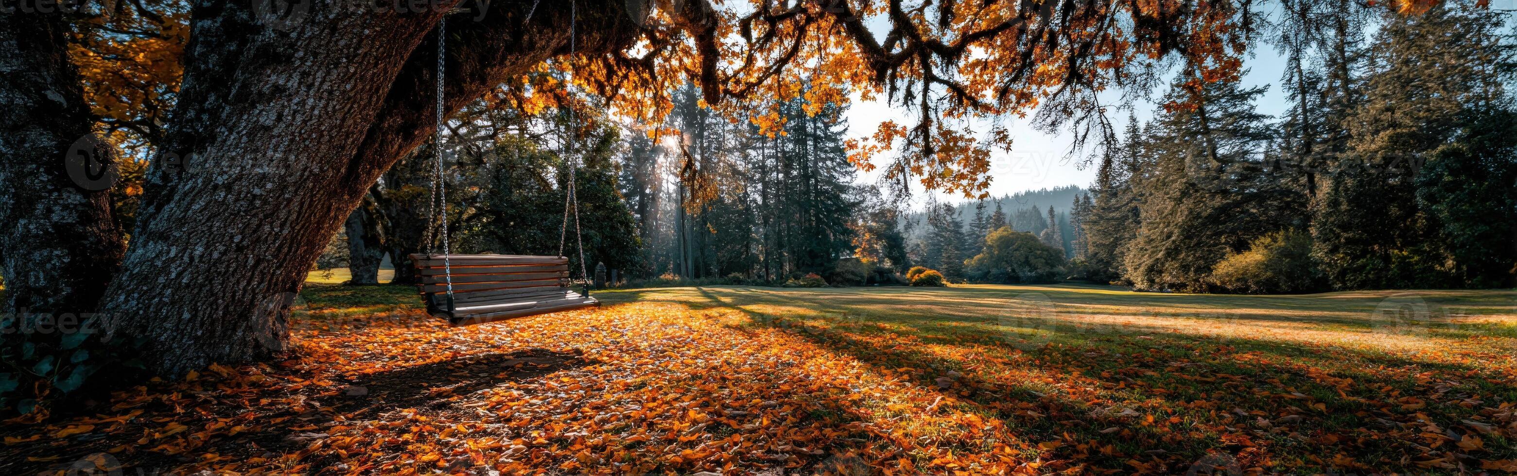 Swing under the tree in a serene autumn park setting photo
