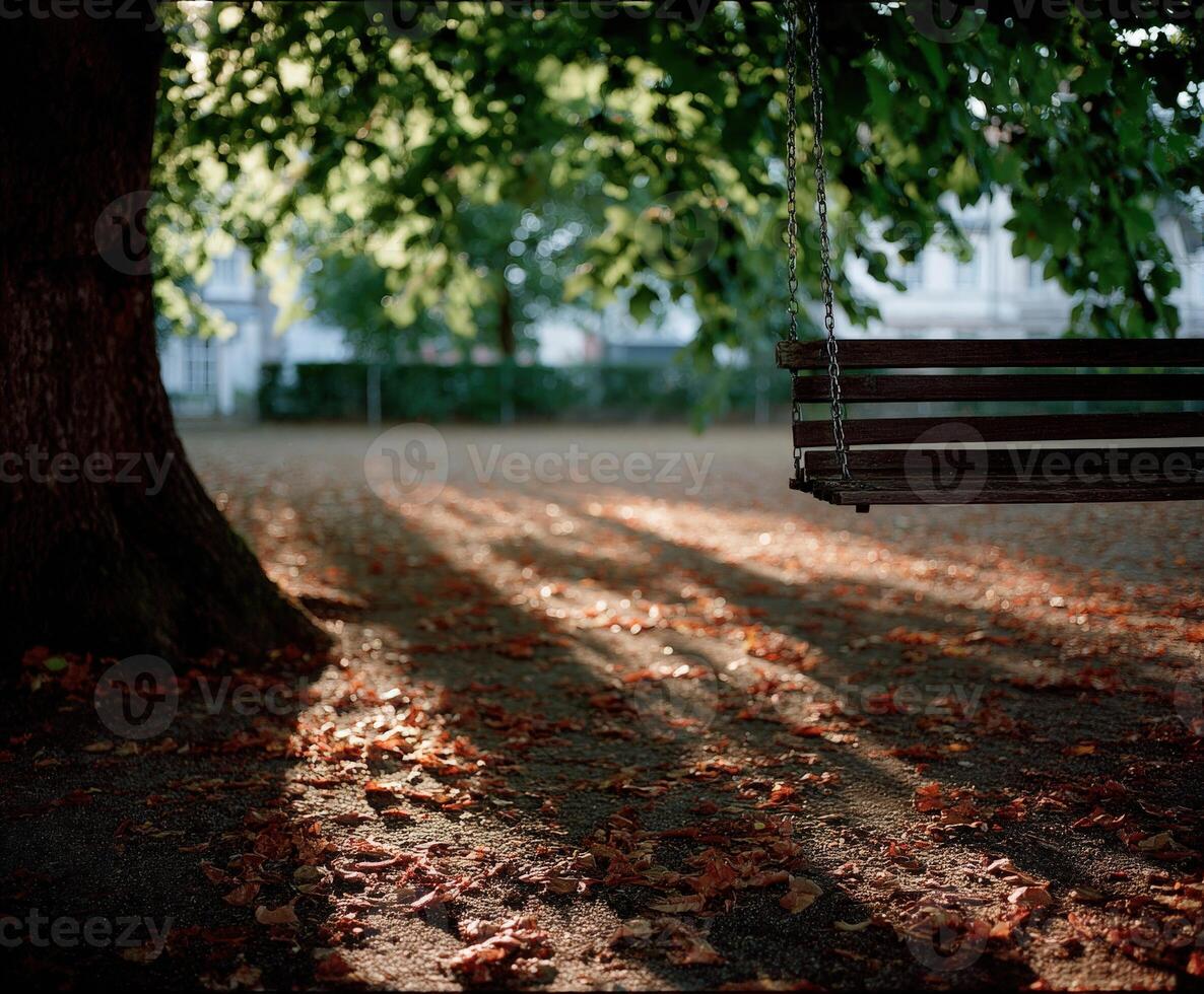 Swing hangs from tree branches in a peaceful park setting photo