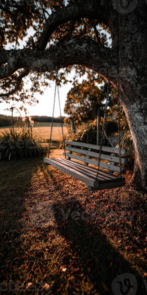 Swing hanging from a tree in a tranquil countryside at sunset photo