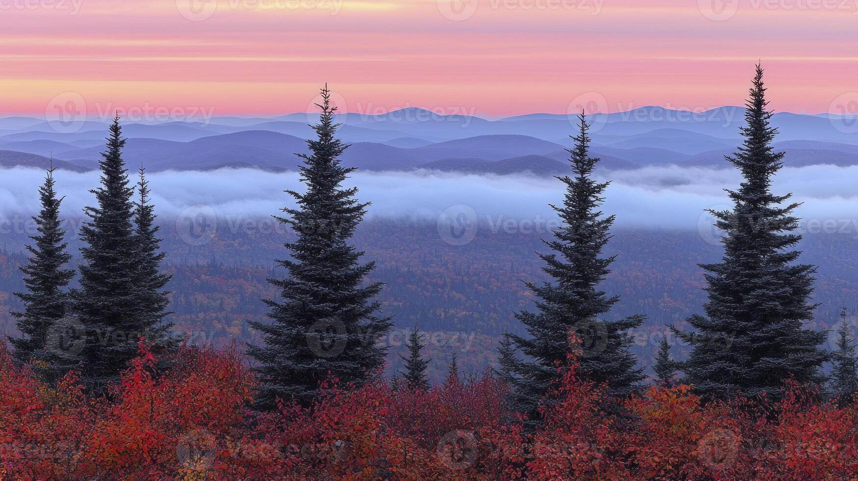 A view of the mountains and trees in autumn photo