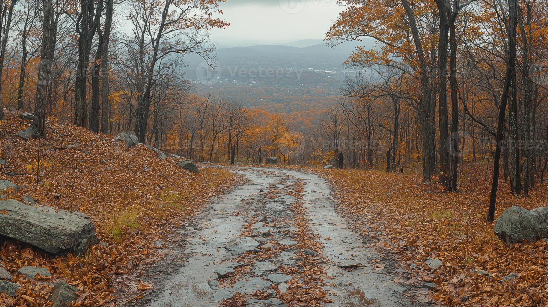 A dirt road with leaves on it in the fall photo
