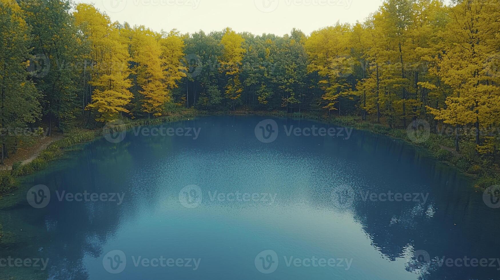 A lake surrounded by trees in the fall photo