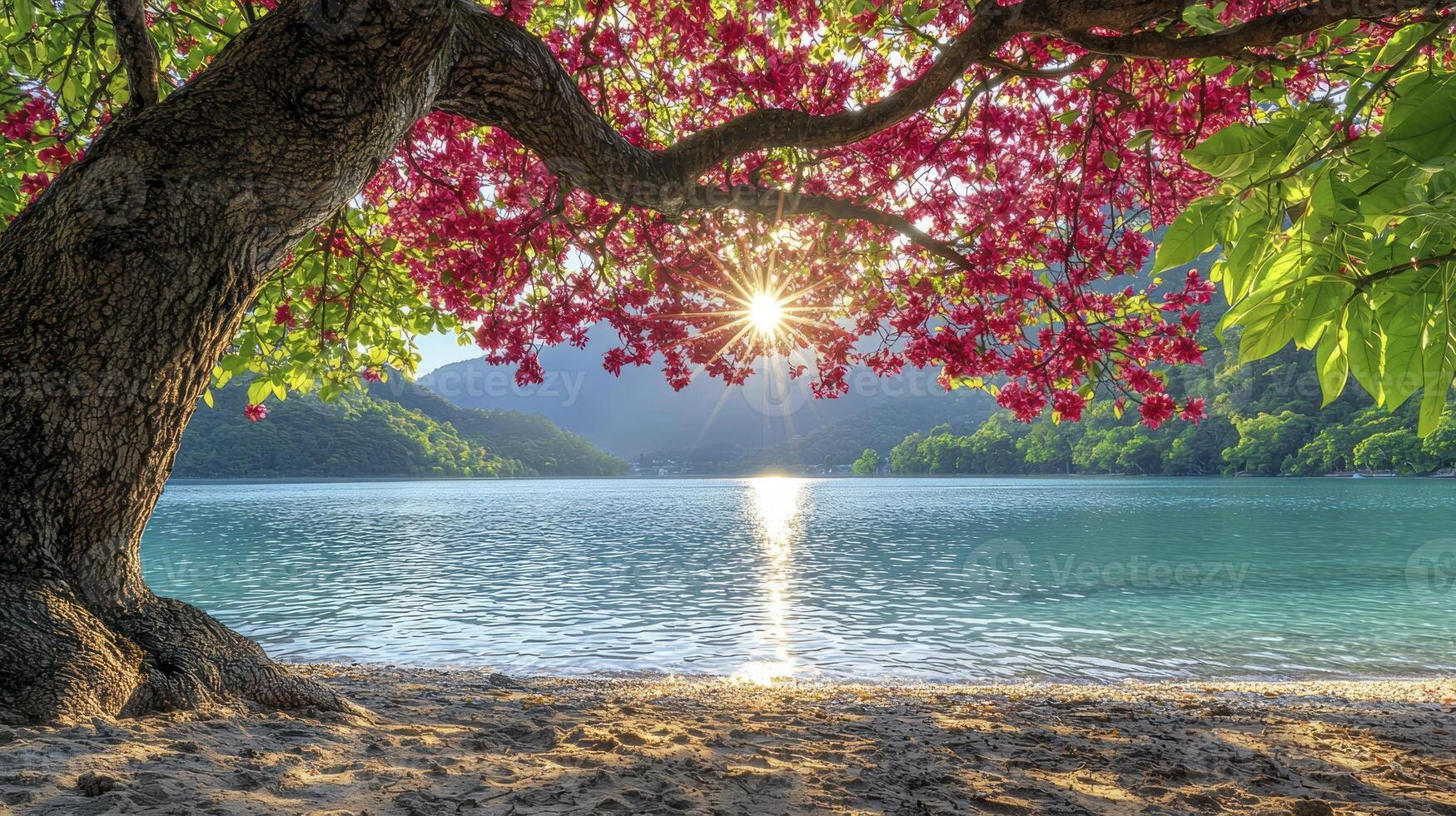 A tree with pink flowers on the shore of a lake photo