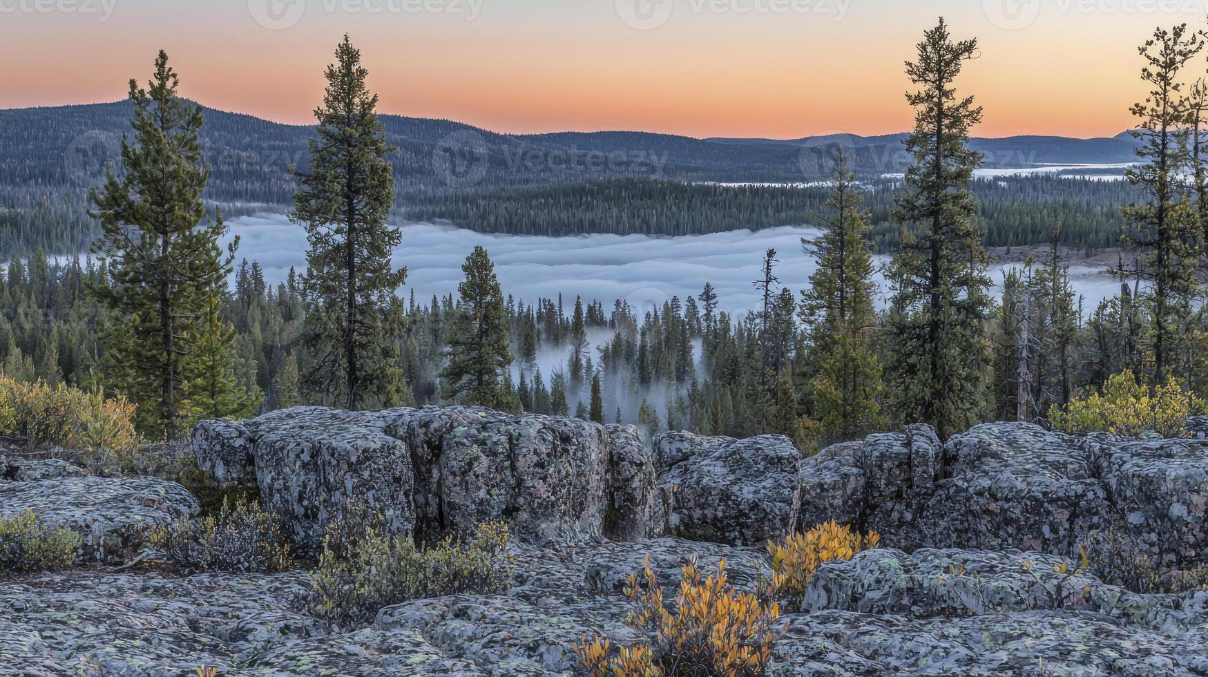 A view of the mountains and trees at sunrise photo