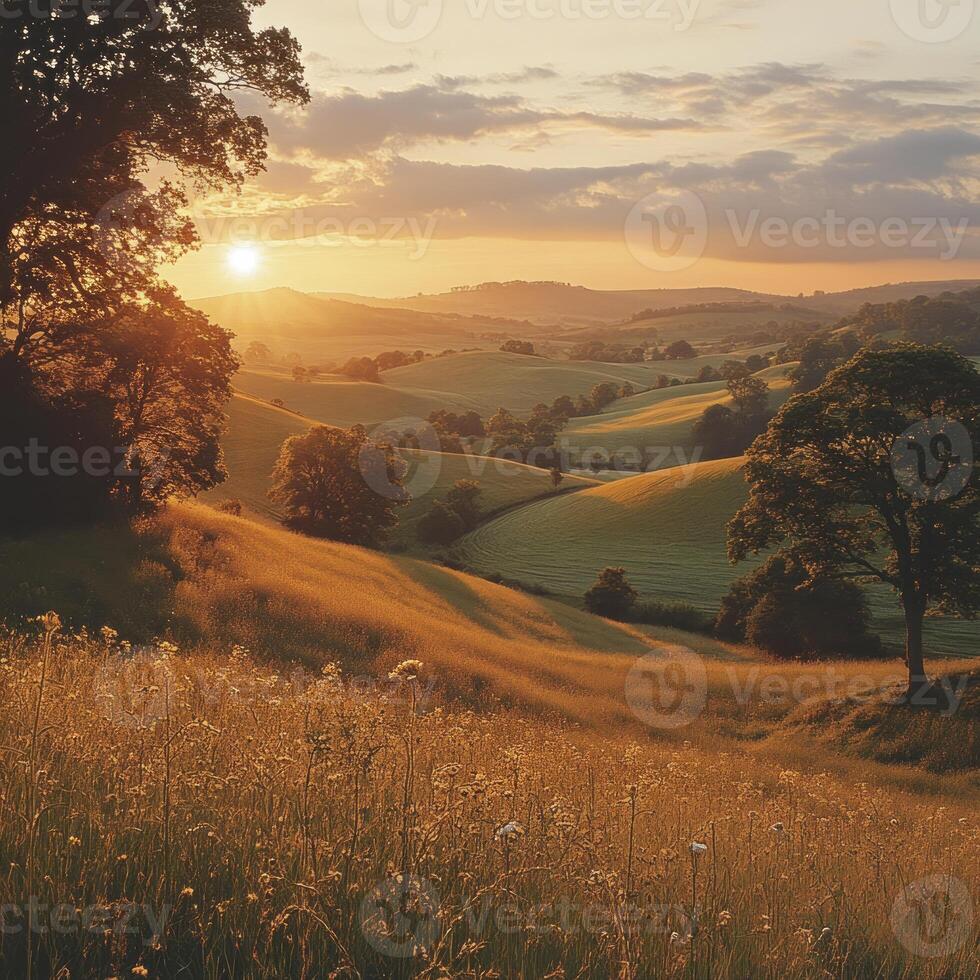 A sunset over a field with trees and grass photo