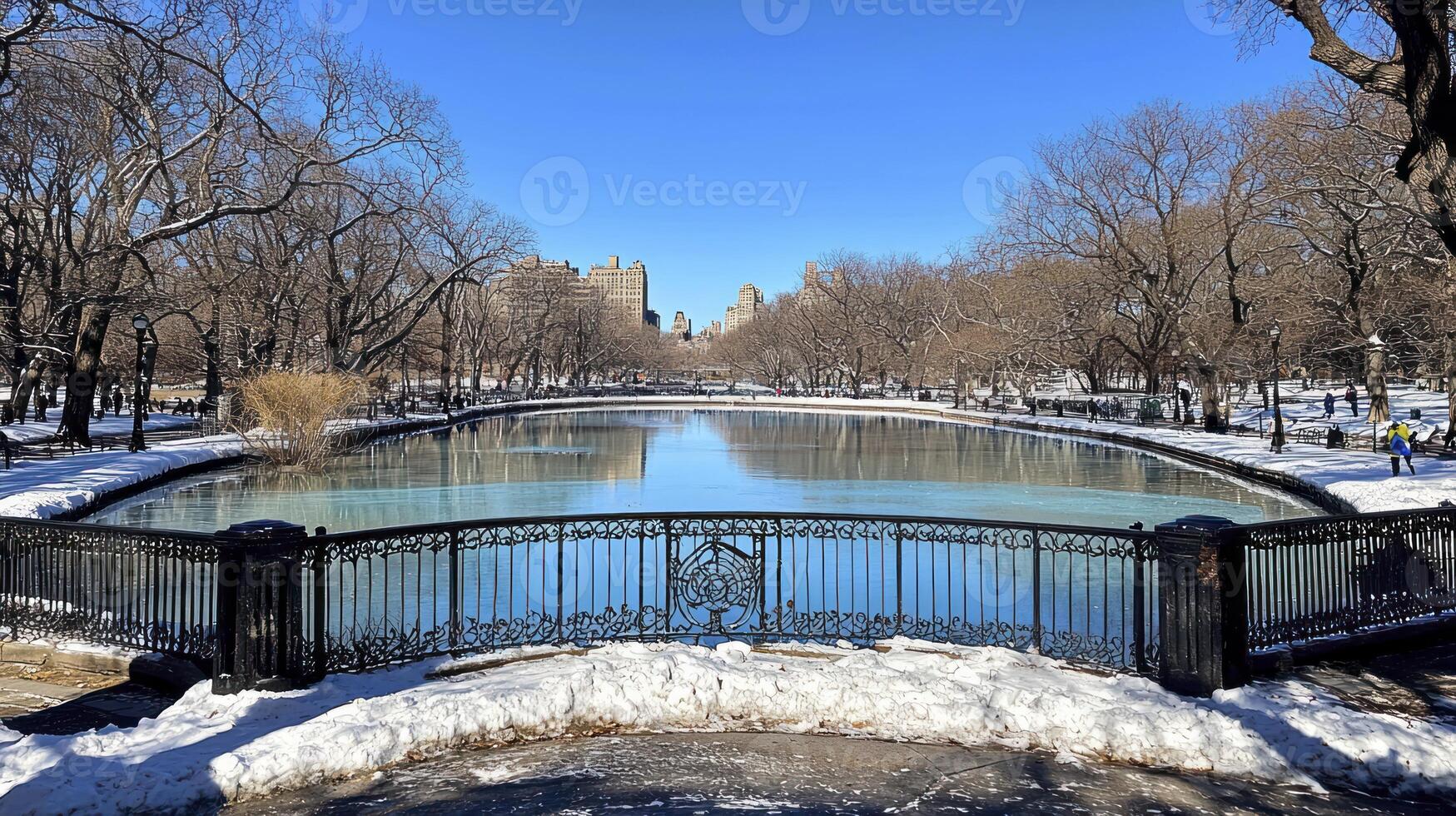 A pond in central park covered in snow photo
