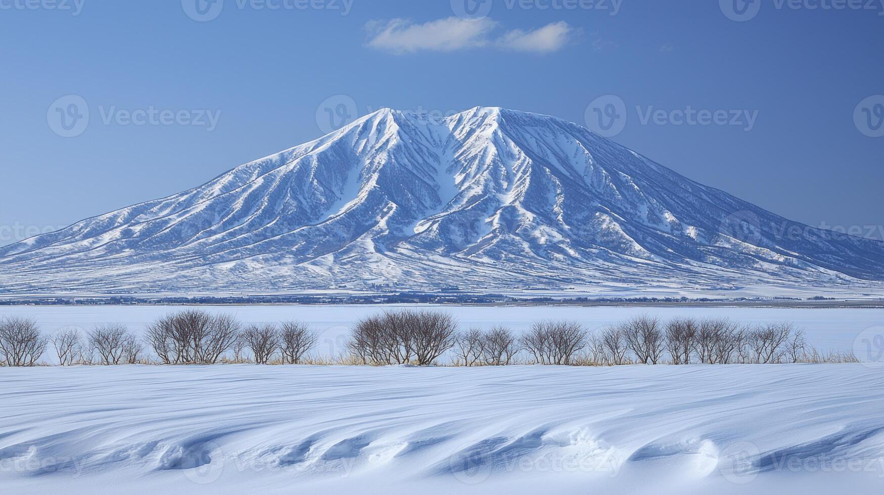A snowy mountain covered in snow photo
