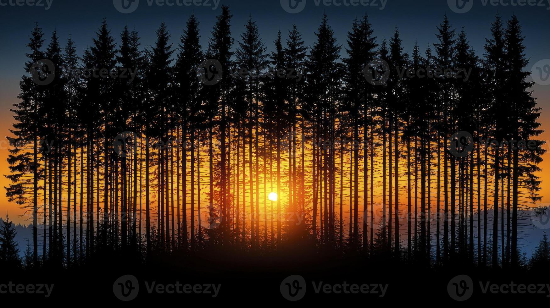 A silhouette of pine trees at sunset photo