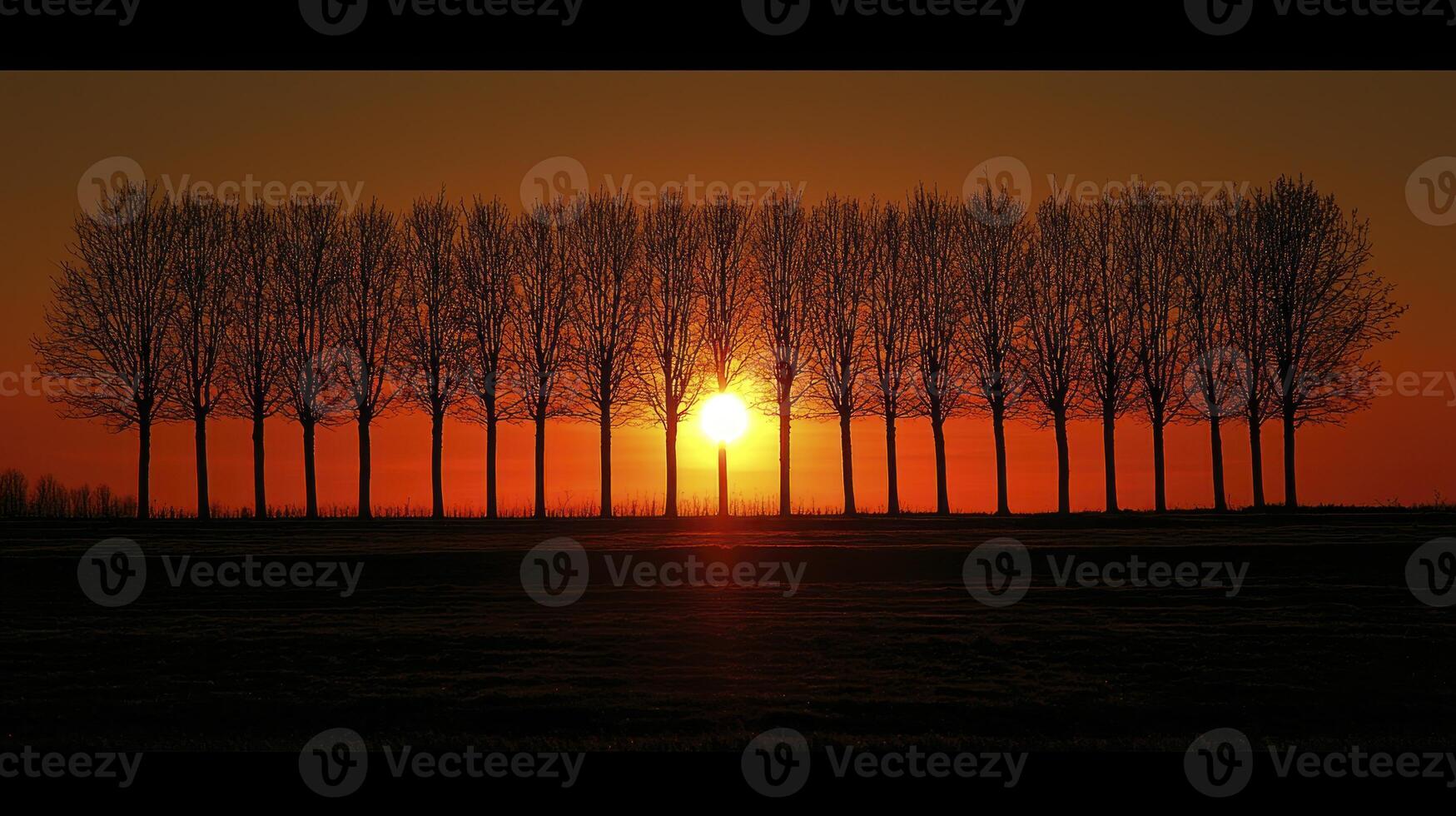 A sunset with a line of trees in the background photo