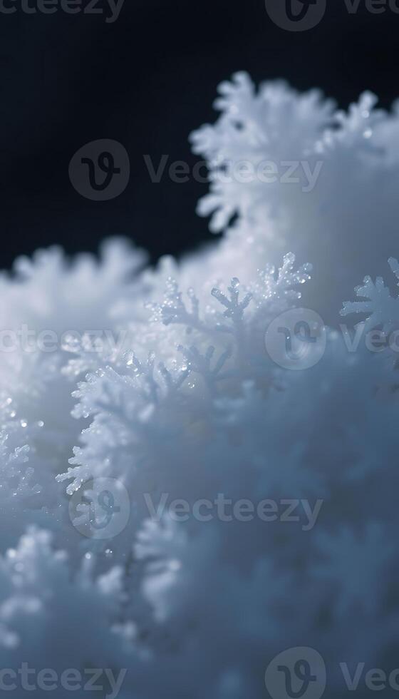 close up of snow flakes on a black background photo