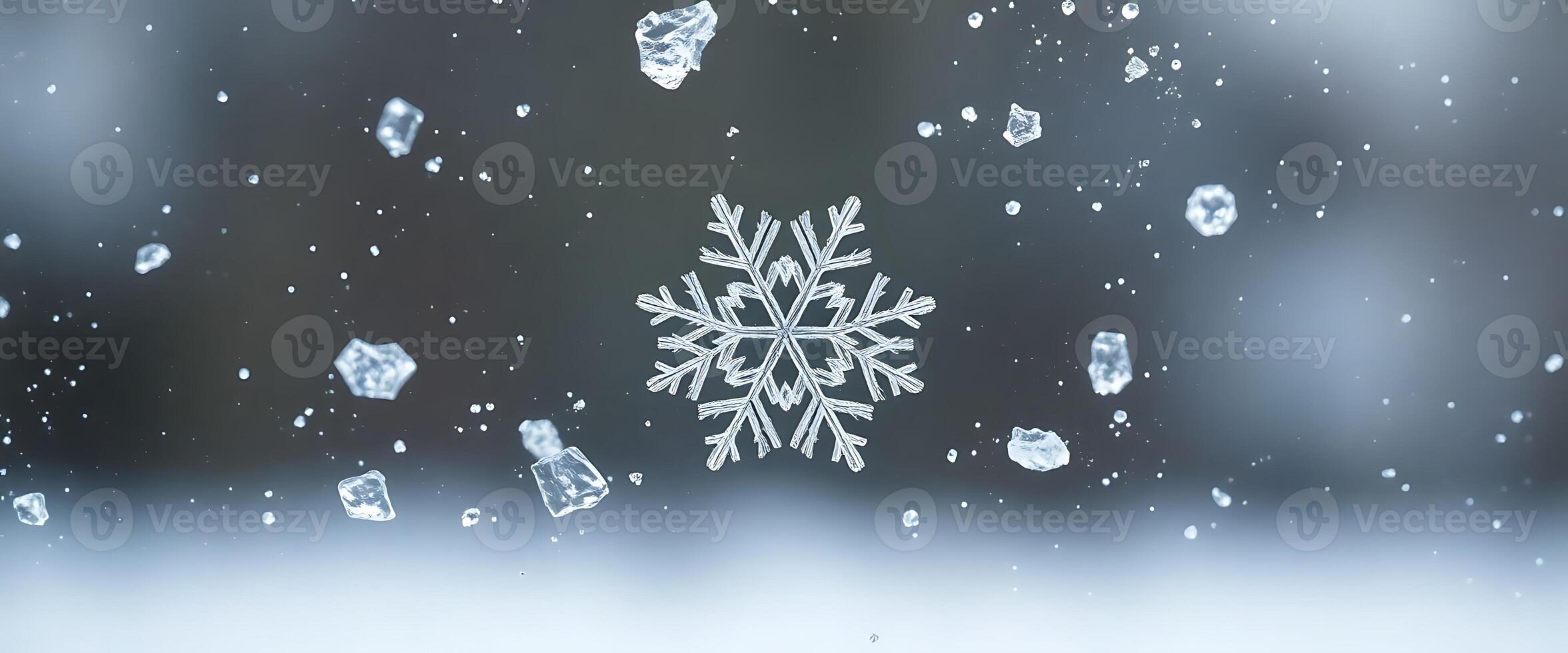 snowflake is seen through a window photo