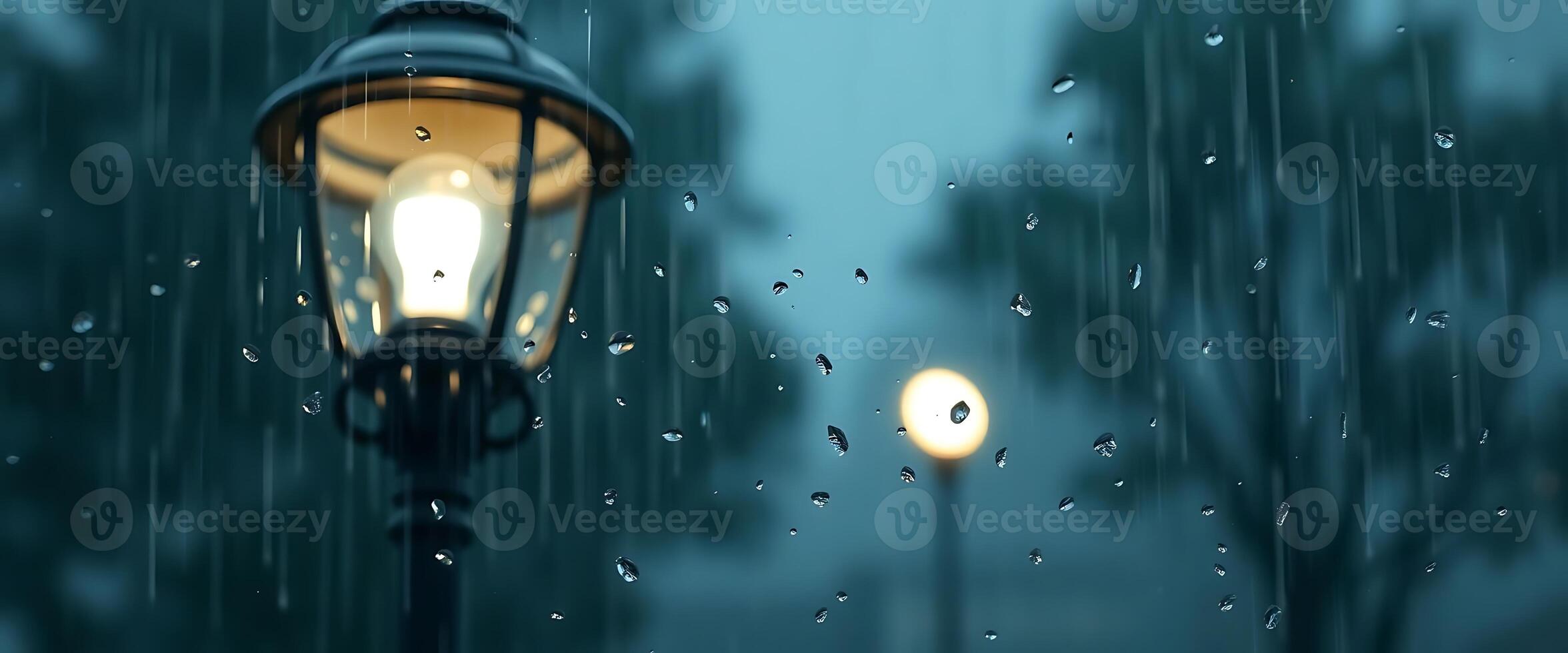 street light sitting next to a lamp post in the rain photo