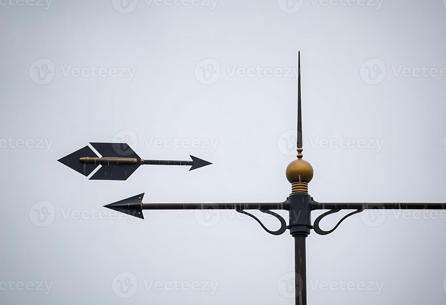 weather vane with two arrows pointing in opposite directions photo