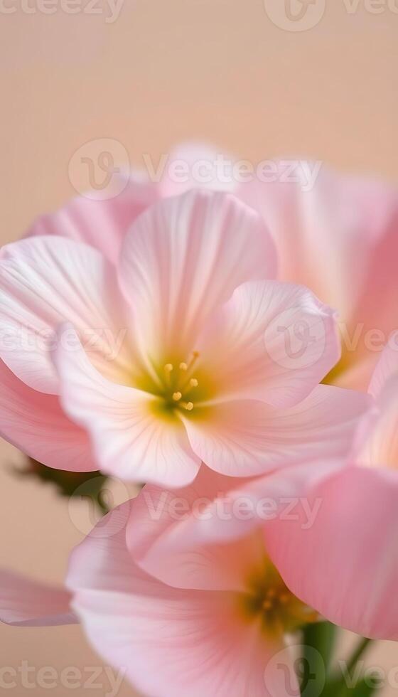 three pink flowers in a vase on a table photo
