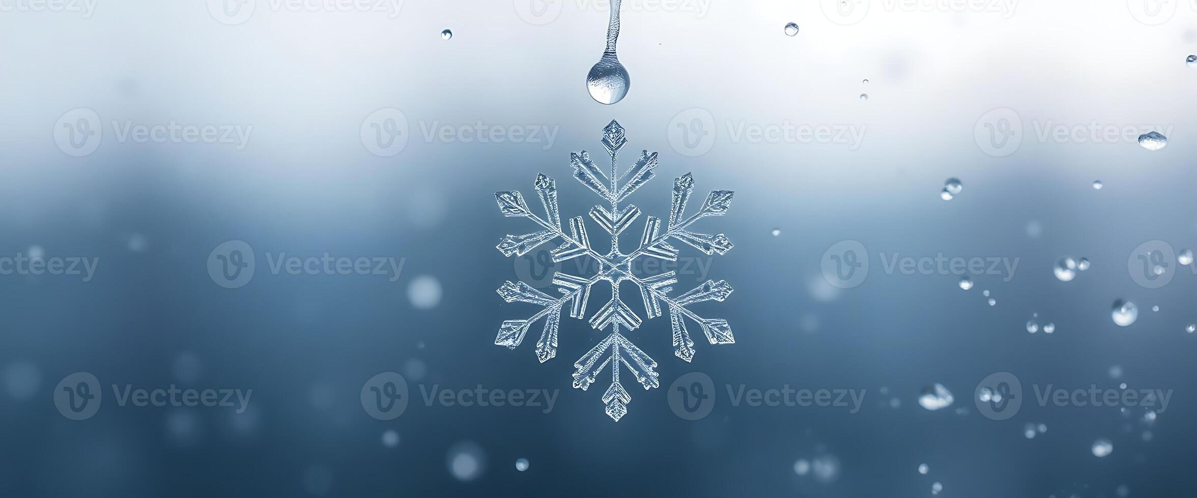 snowflake is hanging from a window photo