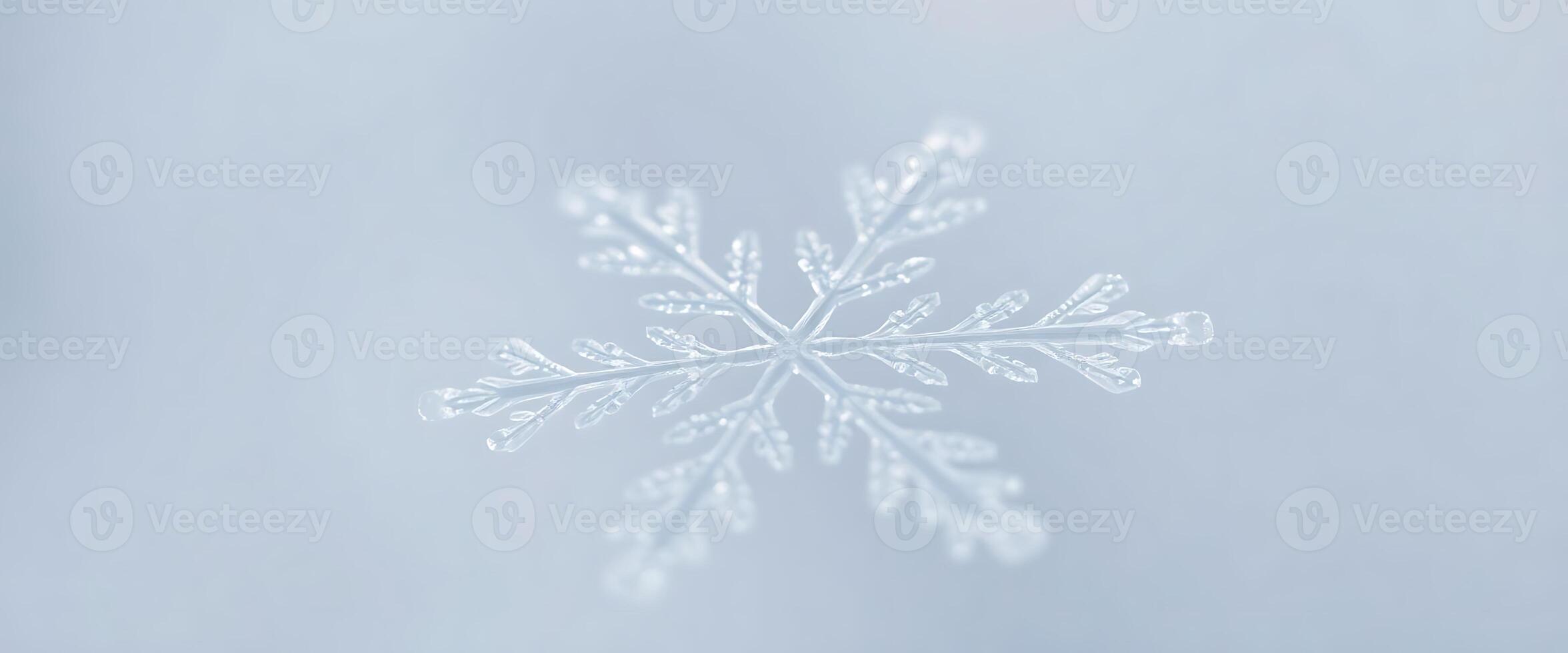 close up of a snowflake on a clear day photo