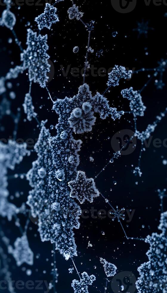 close up of a snowflake on a black background photo