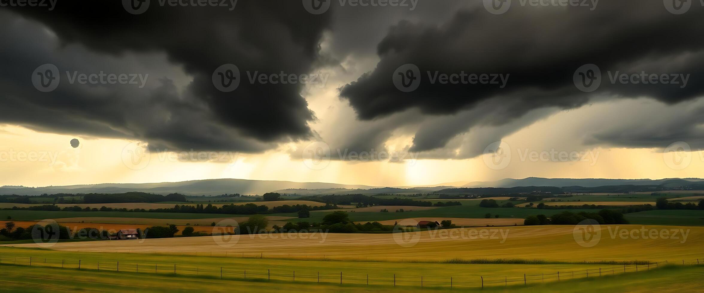large field of grass under a cloudy sky photo