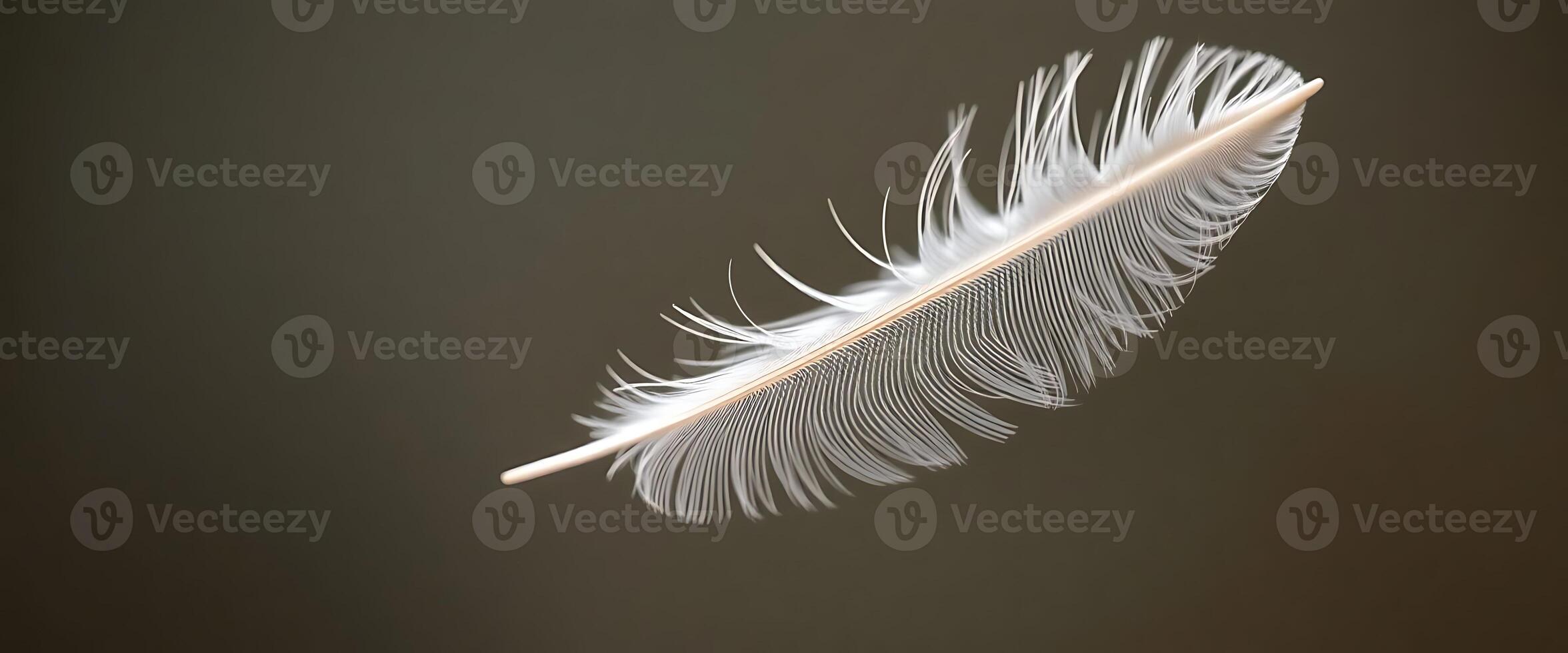 white feather floating in the air photo