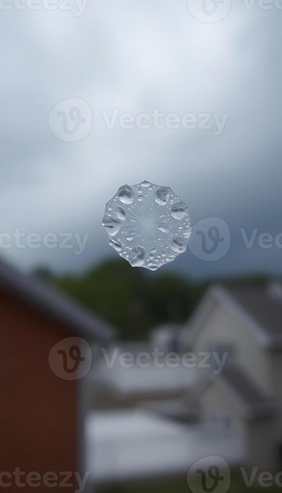 close up of a window with a house in the background photo