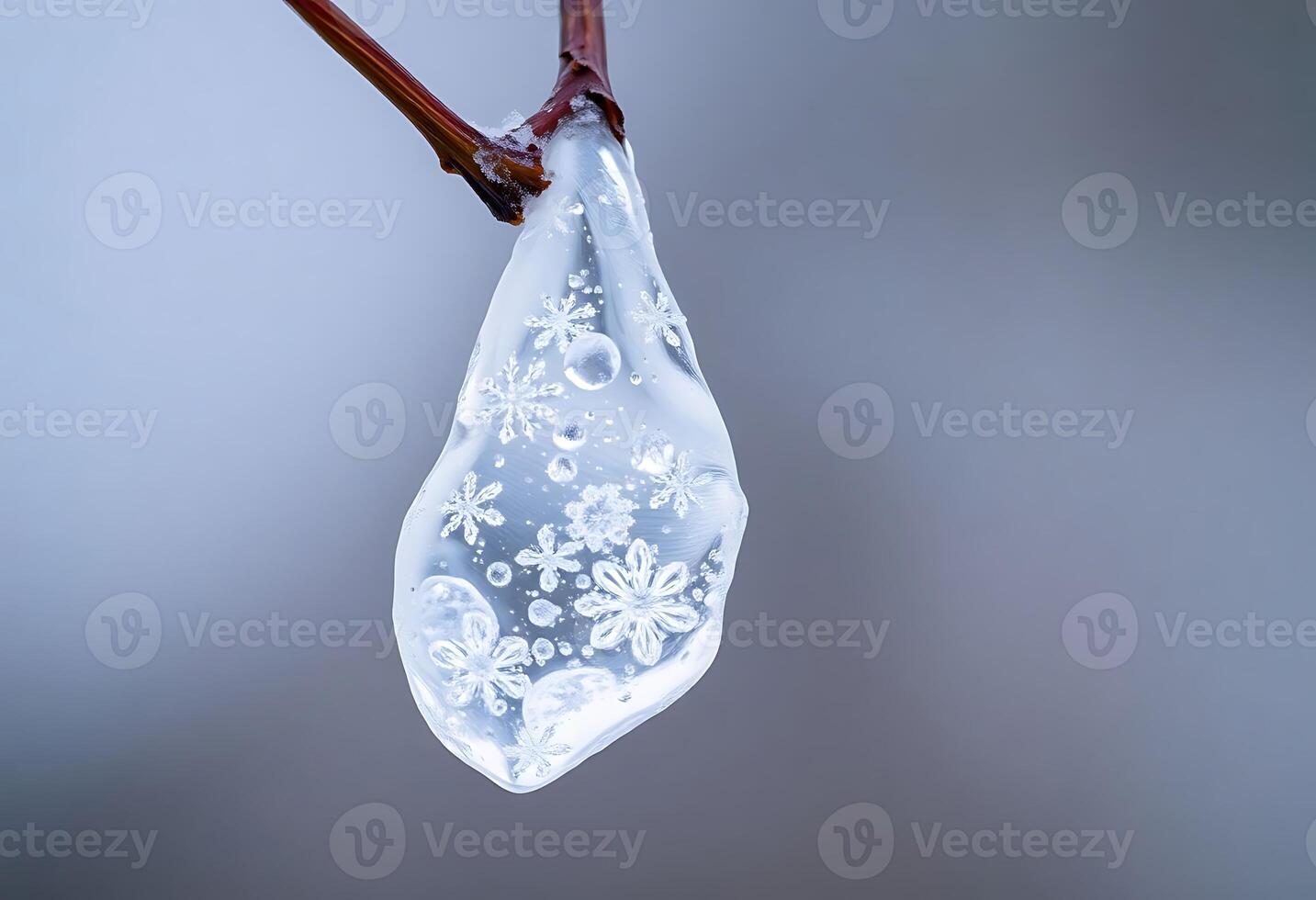 drop of water hanging from a tree branch photo