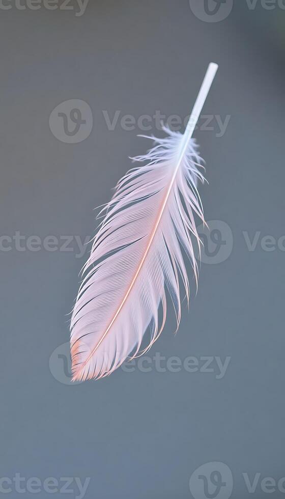 single white feather floating in the air photo