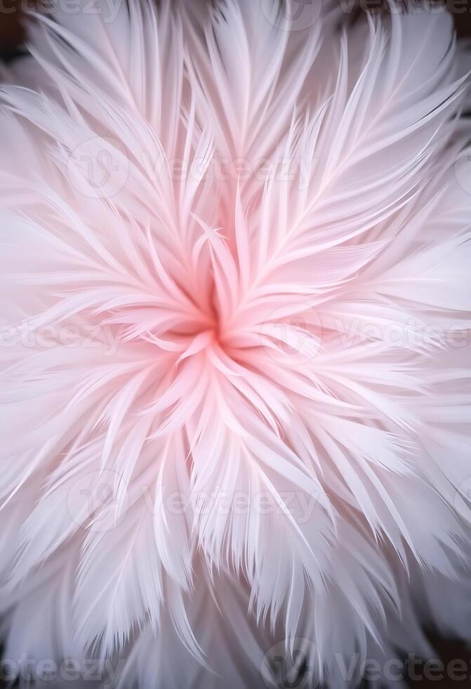 close up of a white flower on a black background photo