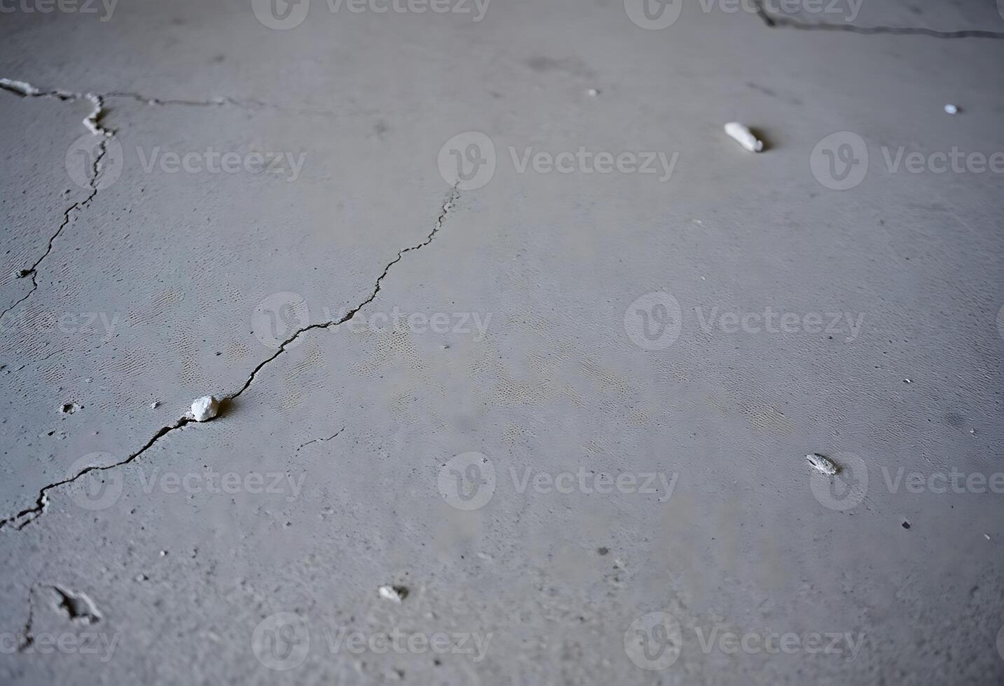 crack in the concrete with small white dots photo