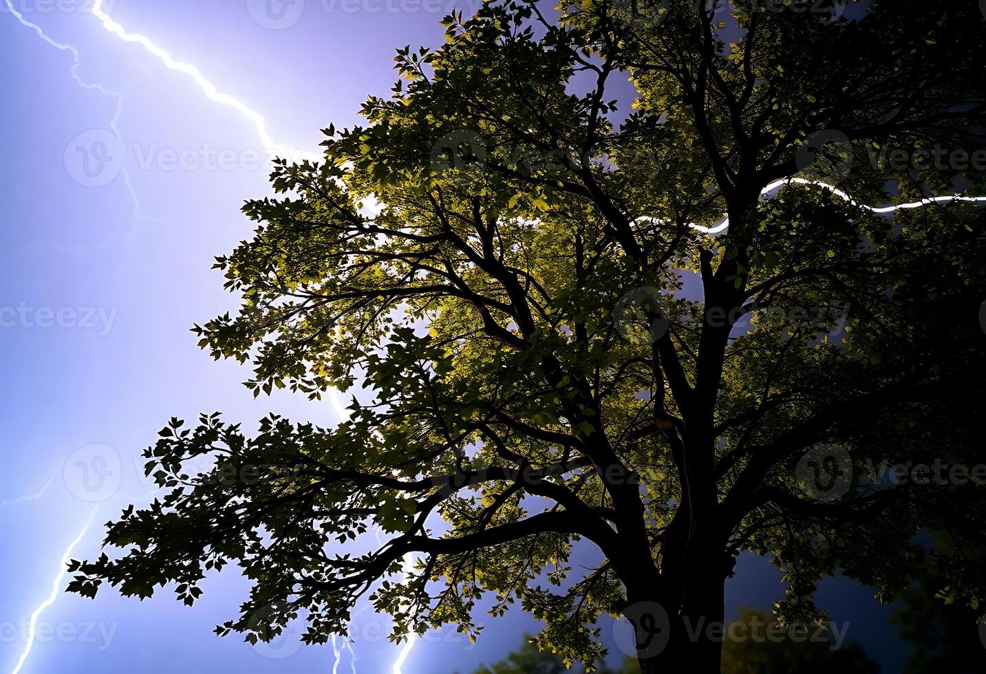 tree with a lot of lightning in the sky photo