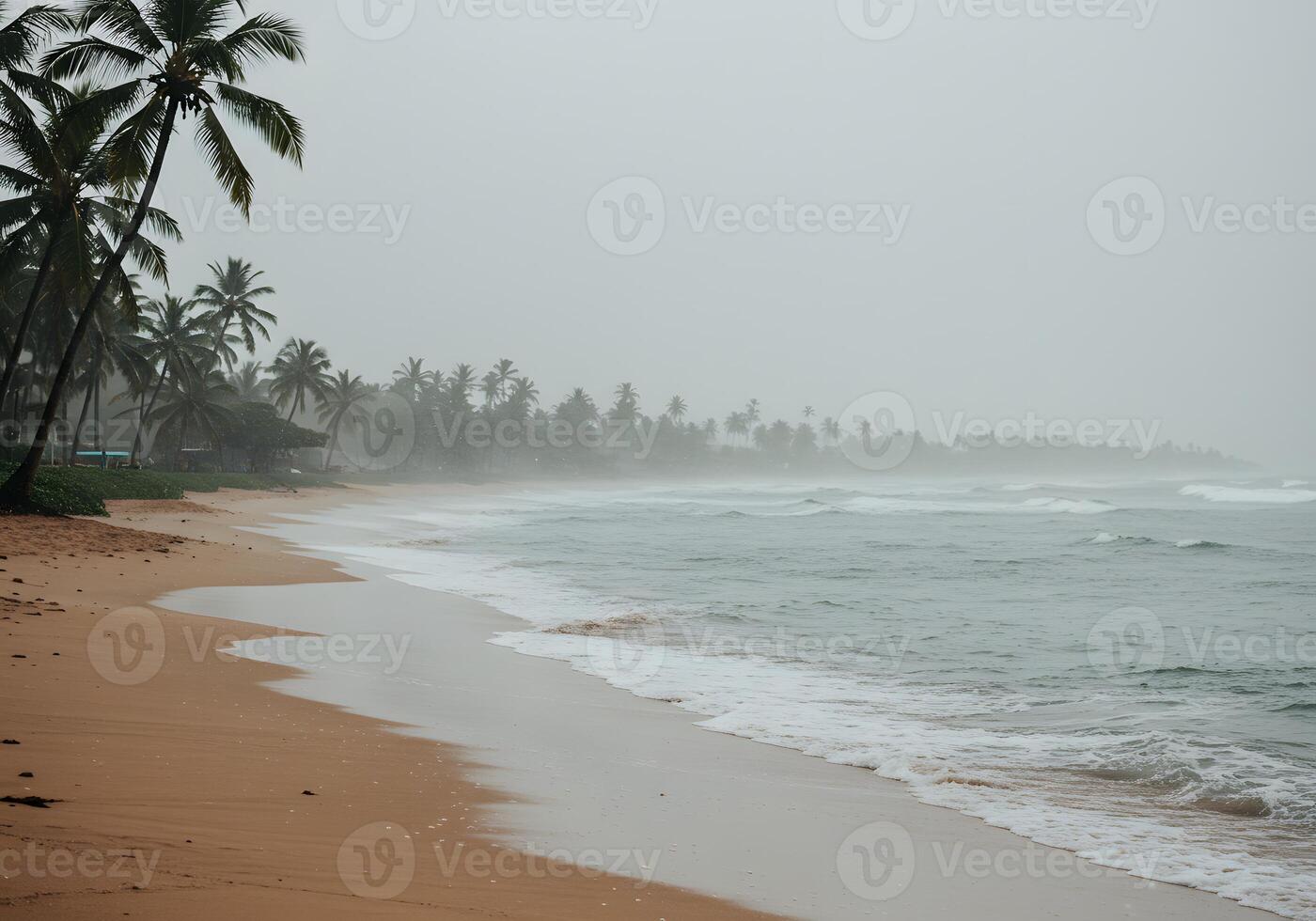 A beach with palm trees and a body of water photo