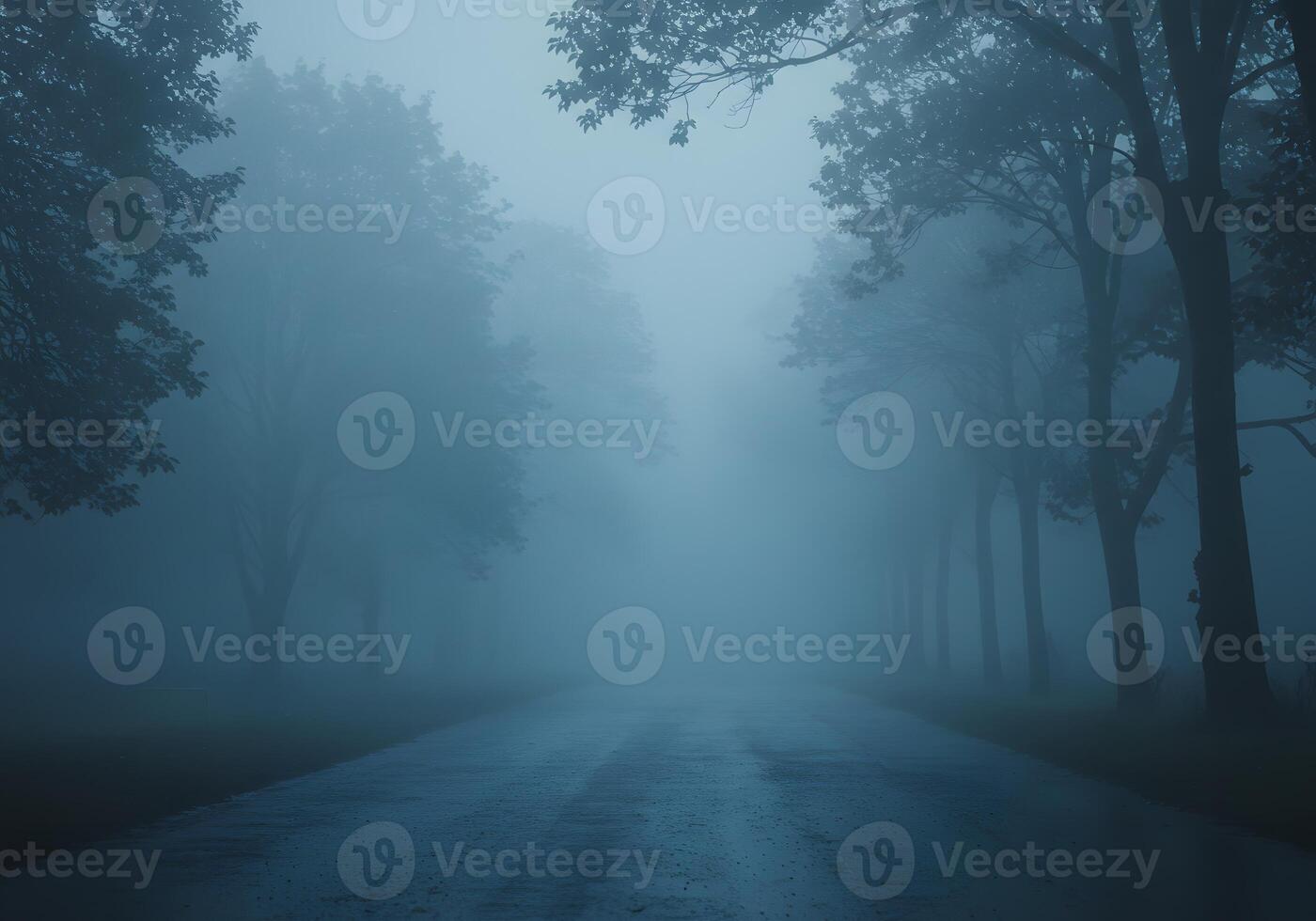 A foggy road in the middle of a forest photo