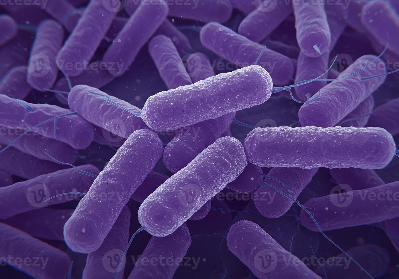Microscopic View of Bacteria - Rod-Shaped Cells, Purple Color, Science, Biology, Microbiology Study. photo
