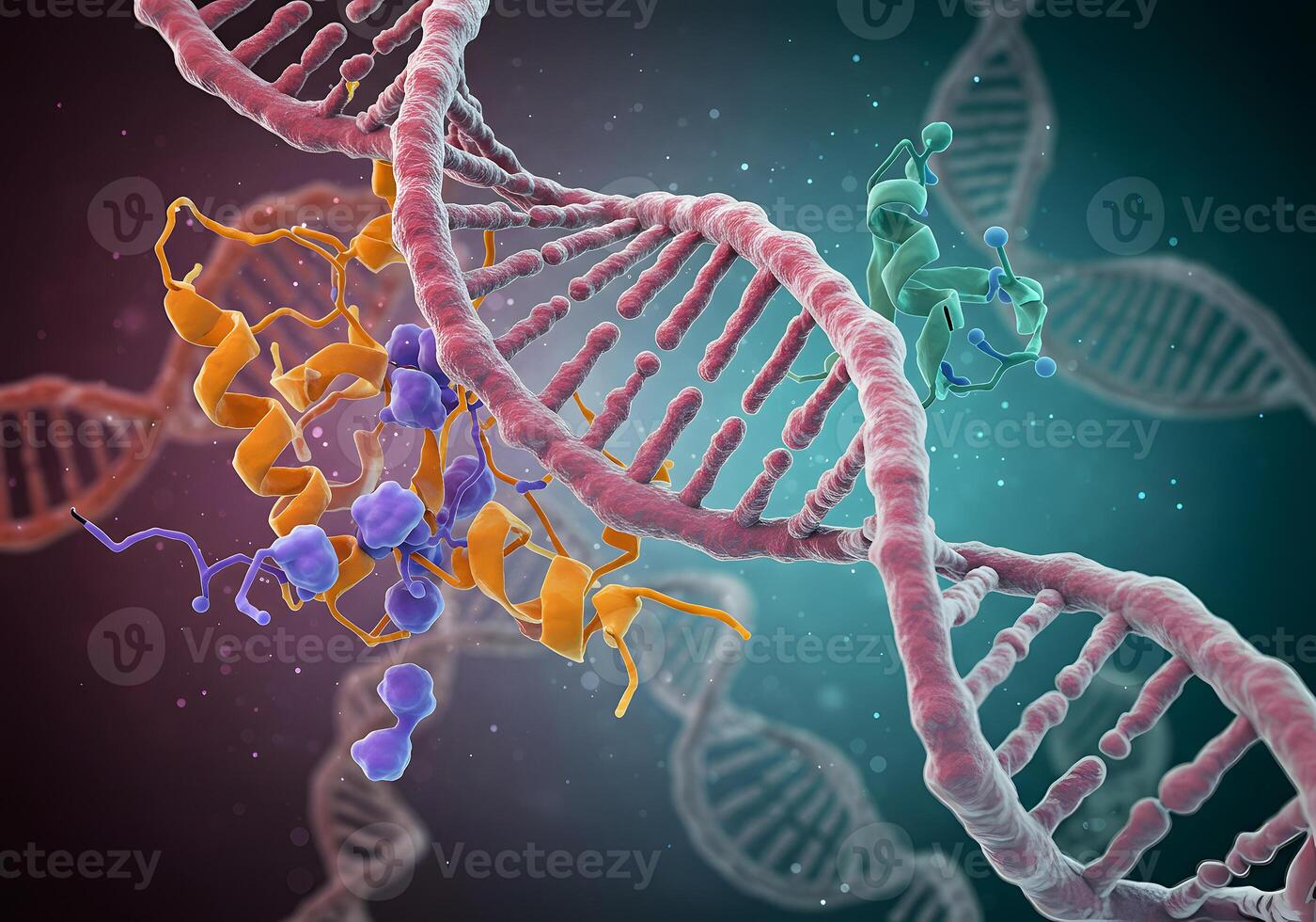 Dna is a molecule that is made up of two strands photo