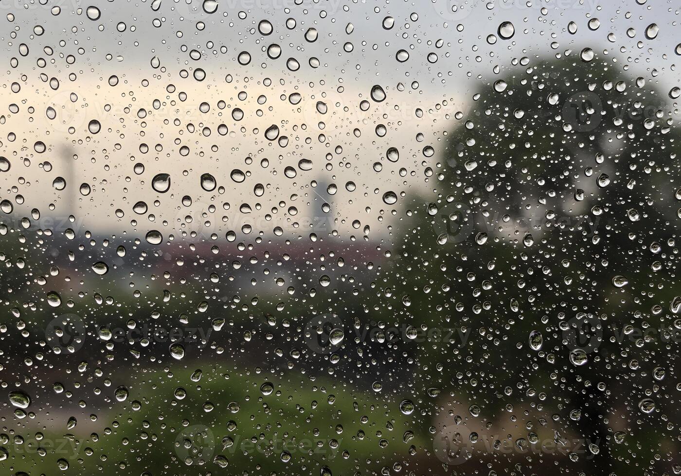 Raindrops on the window photo