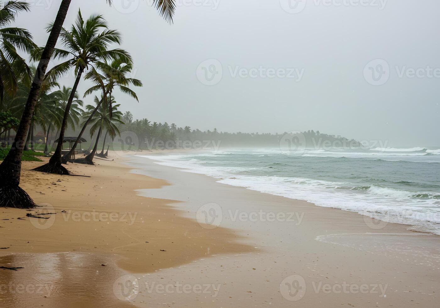 A beach with palm trees photo