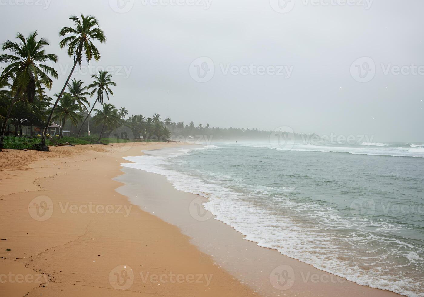 A beach with a body of water and palm trees photo
