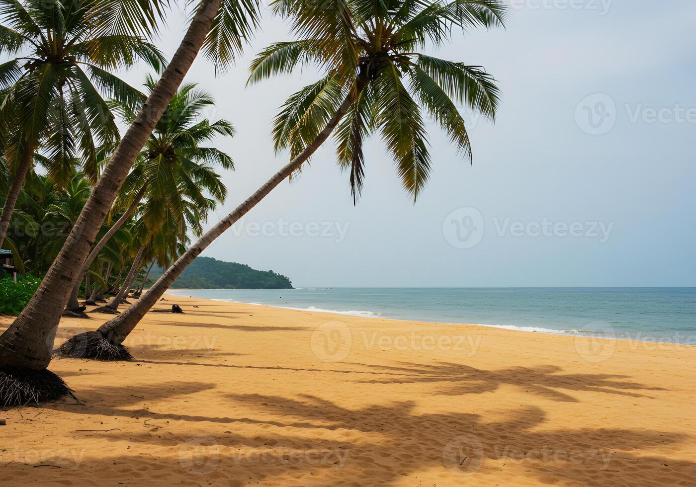 Tropical beach scene photo