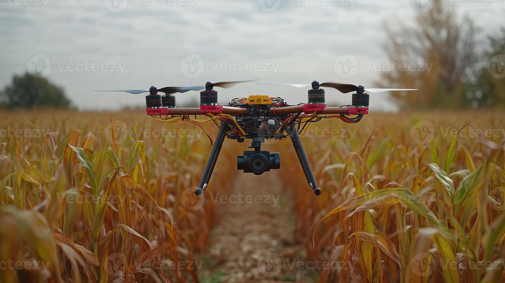 A drone flying over a corn field photo