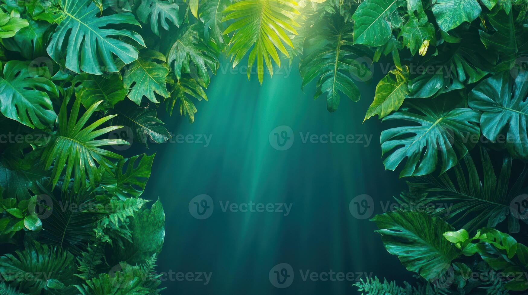Tropical jungle background with green leaves and sunlight photo
