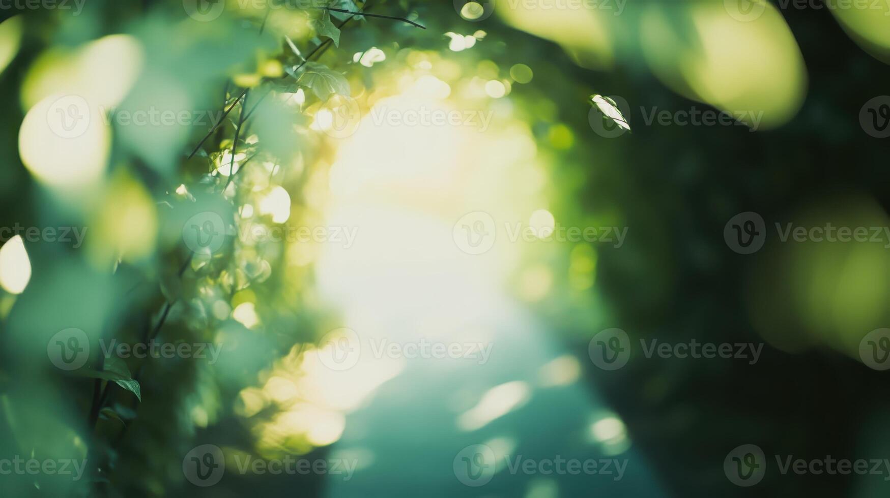A tunnel of green leaves with sunlight shining through photo