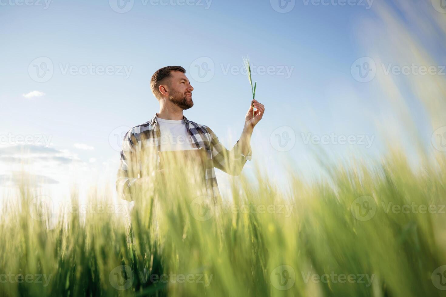 Handsome,, man ,is on the agricultural, field at daytime photo