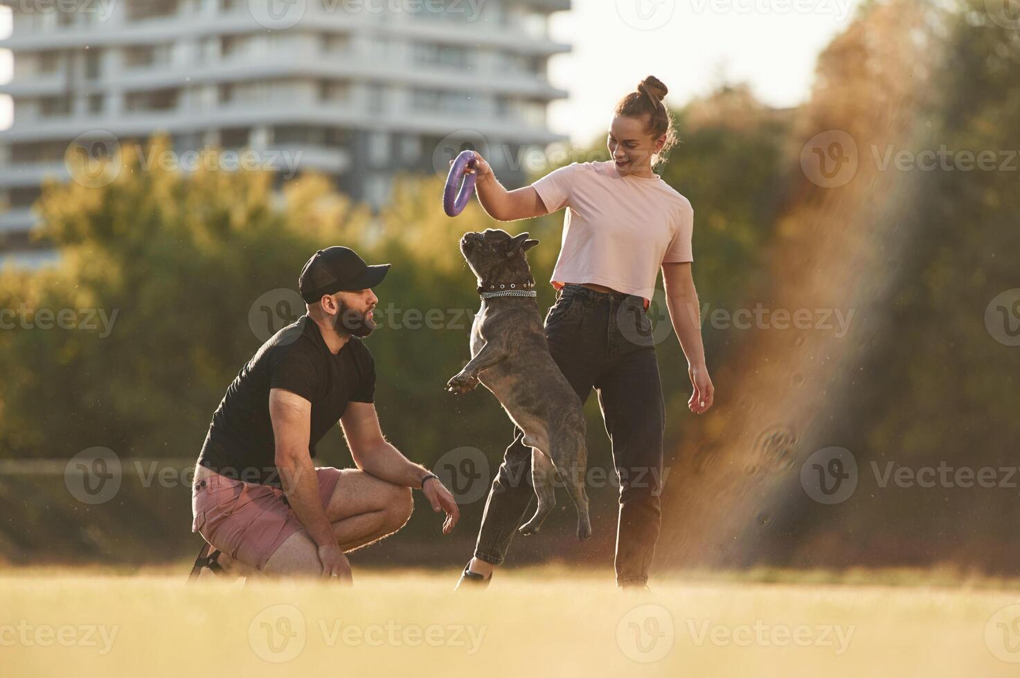 Playing ,with ,a ,rubber toy. Man and woman are with dog on the field photo