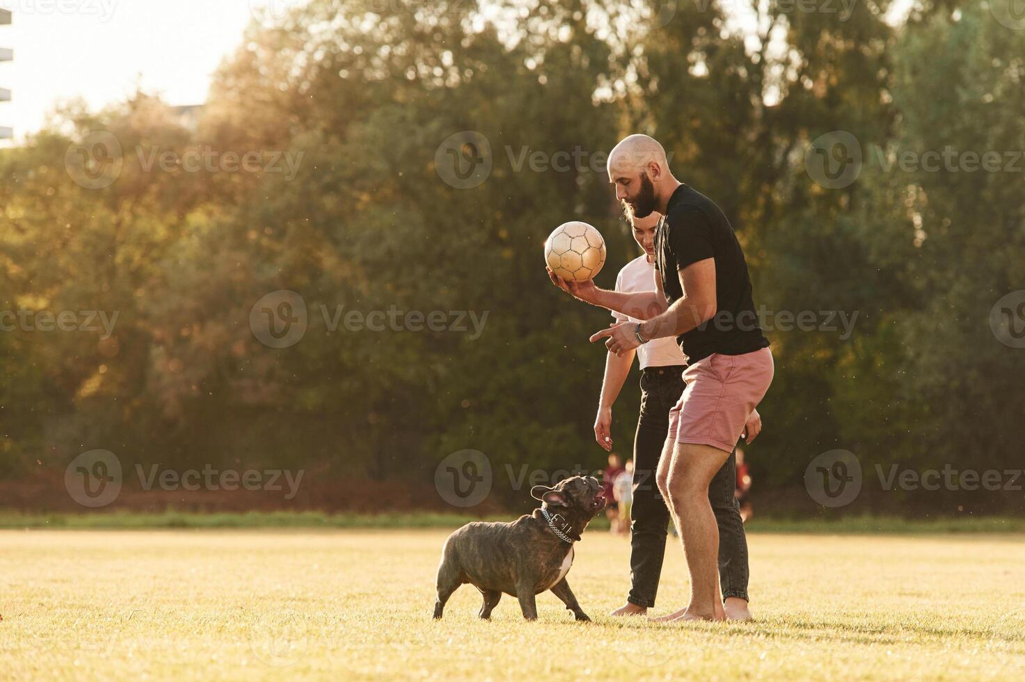 Using ,soccer, ball, playing. Man and woman are with dog on the field photo