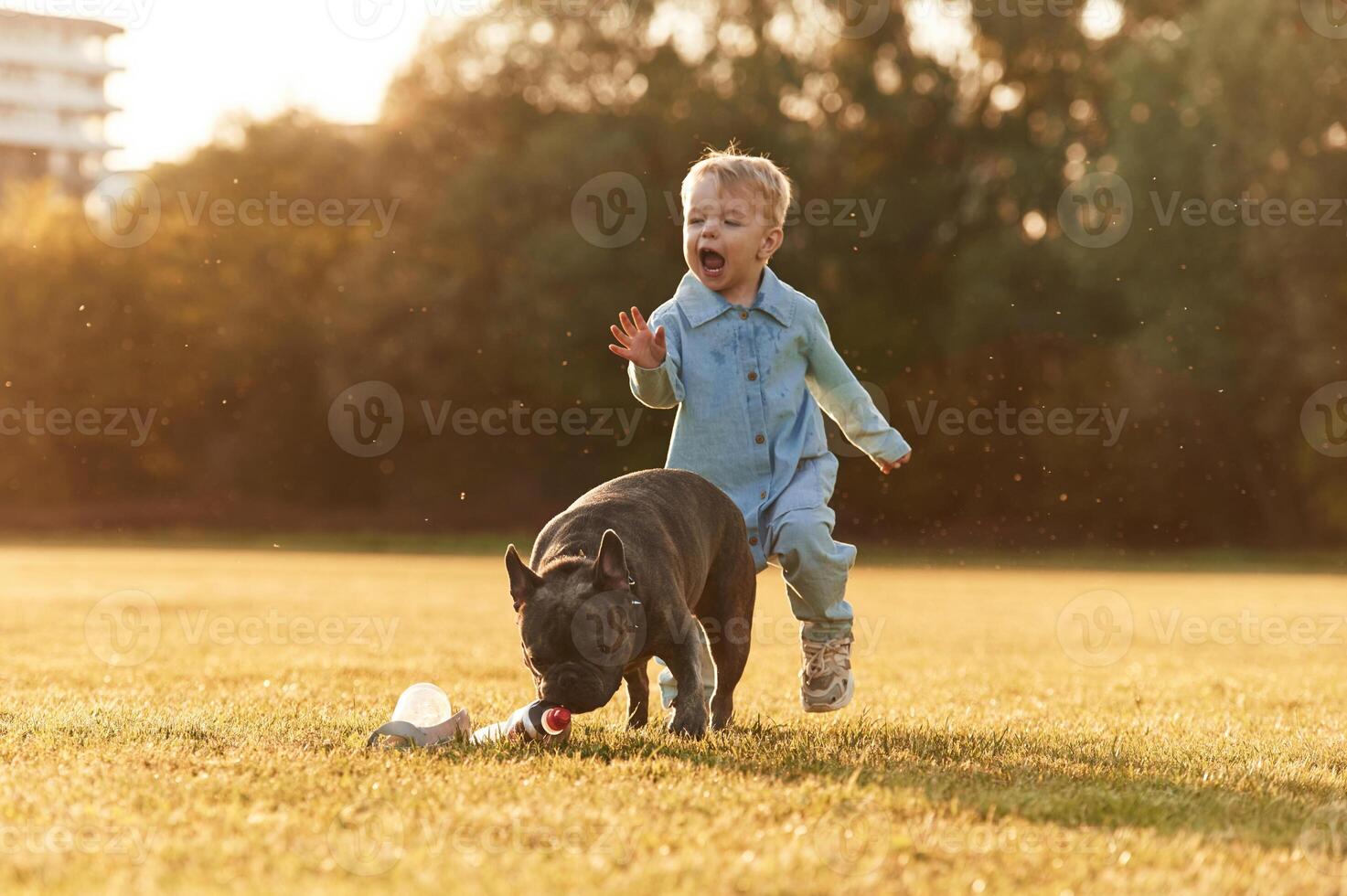 Running together. Cute little boy,, is, with dog on the field photo