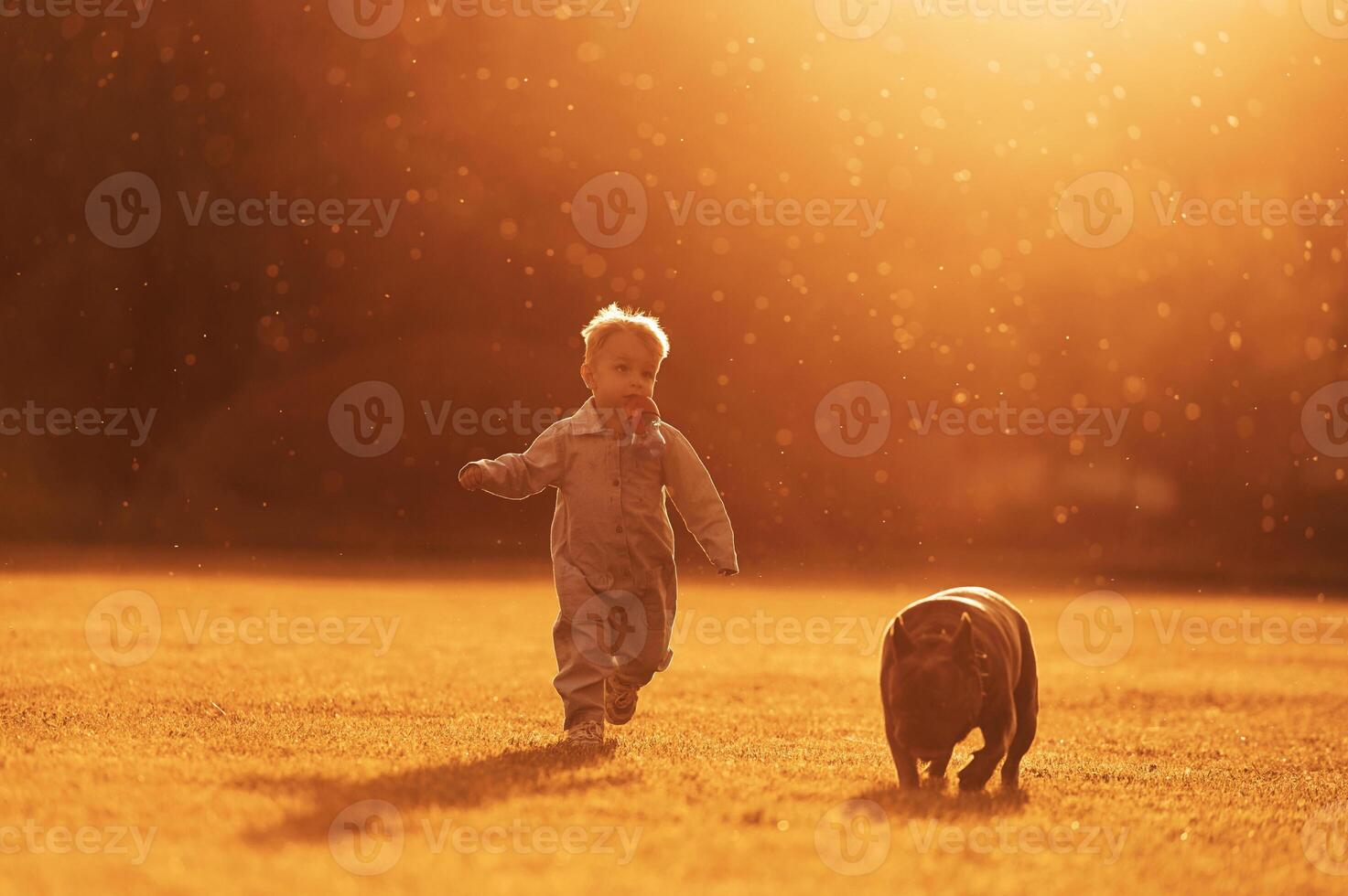 Illuminated by sunlight. ..Cute little boy is with dog on the field photo
