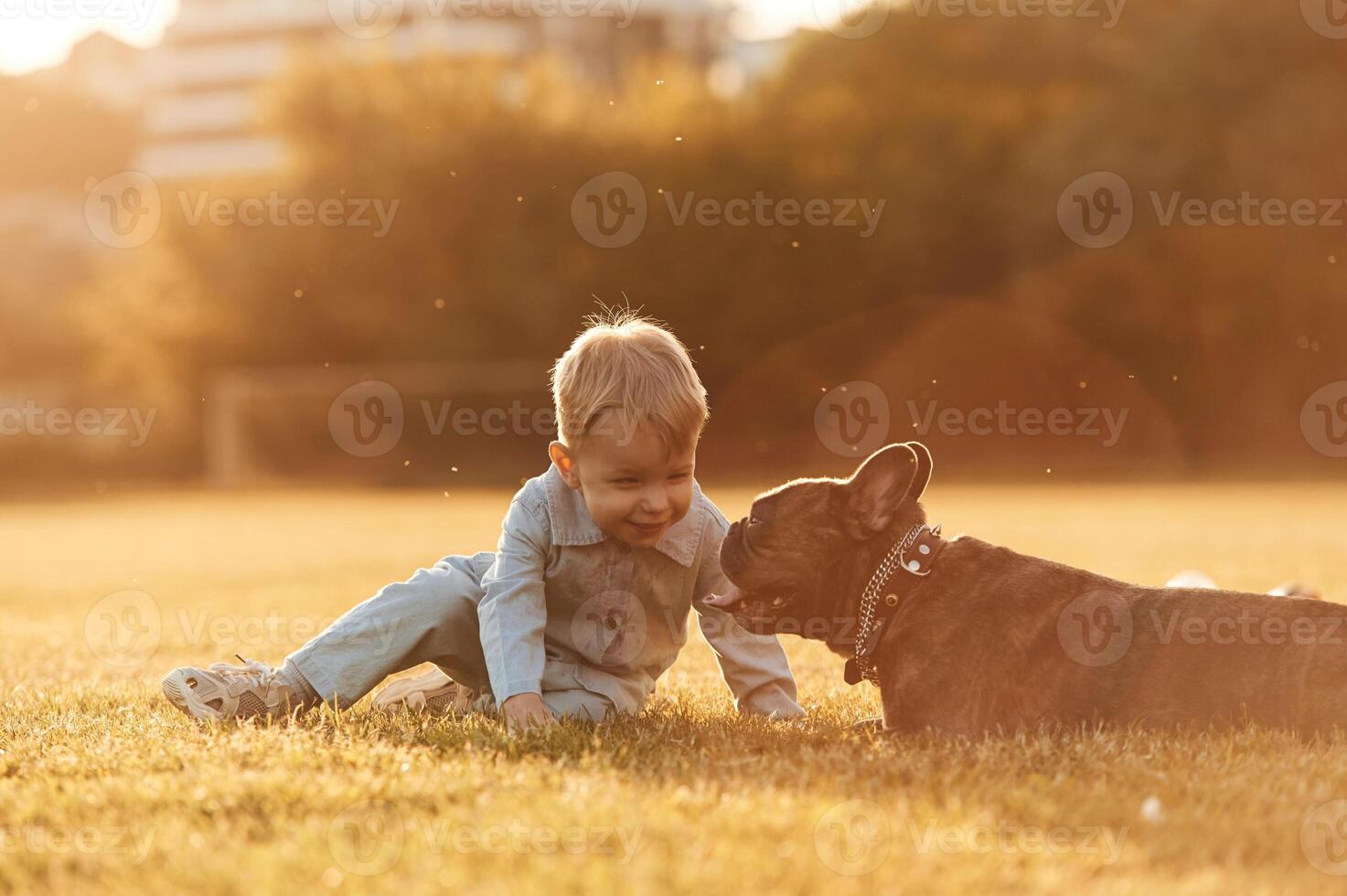 Cute, little boy is with dog on the field. photo
