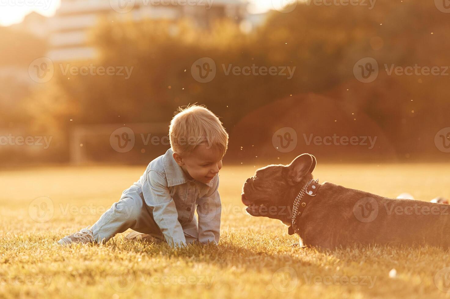 Illuminated by,, sunlight. Cute little boy ,is with dog on the field photo