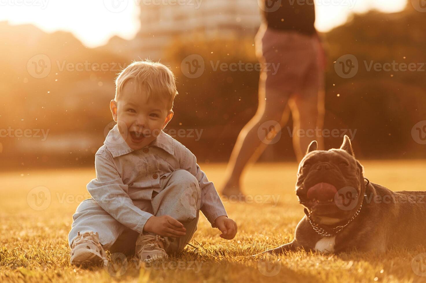 Smiling, little ,,boy is sitting with cute dog while father is walking on the summer field behind photo