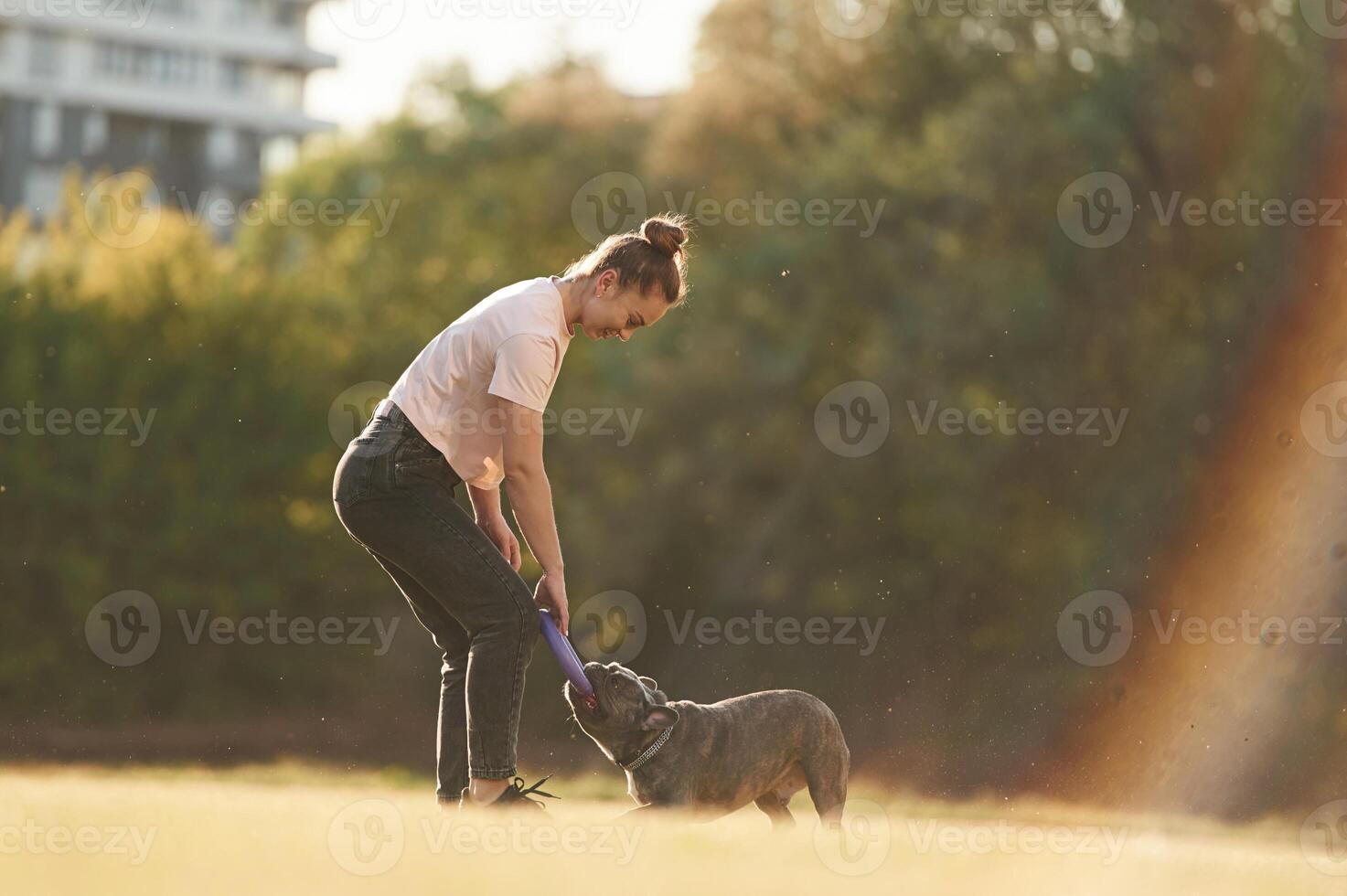 Woman ,is with ,dog, on the summer field photo