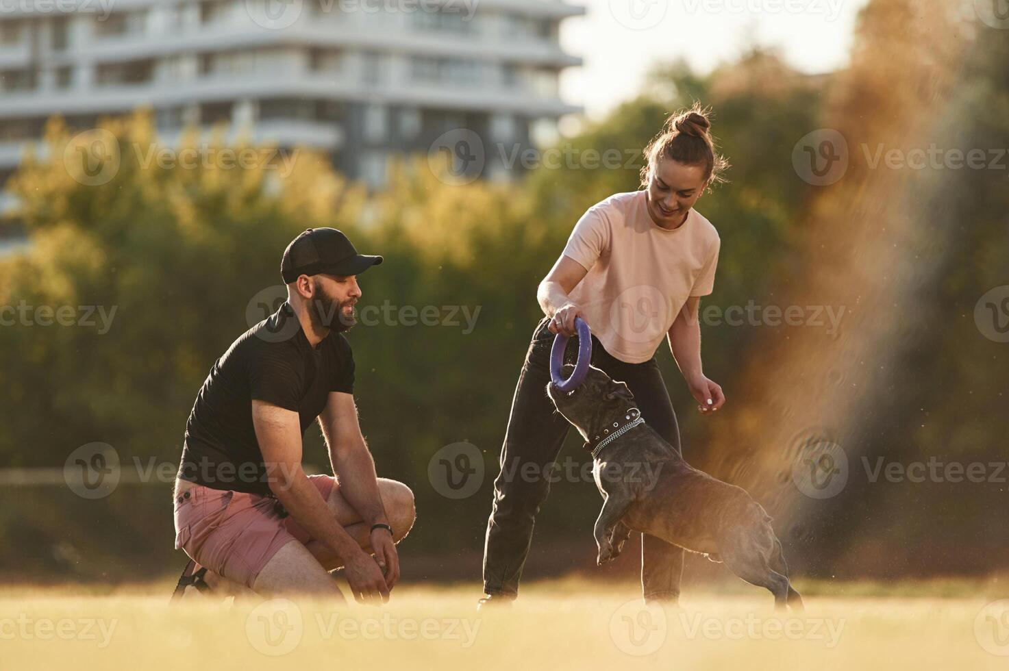 Active time spending,, with rubber toy. Man and woman are with dog on the field photo